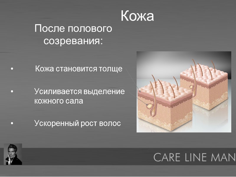 После полового созревания:           